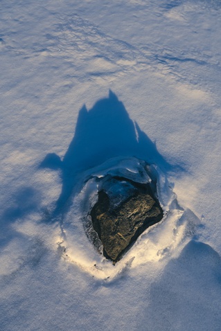 Fjord 1