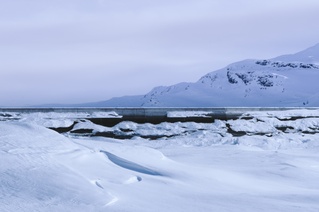 Vinterfjell 1