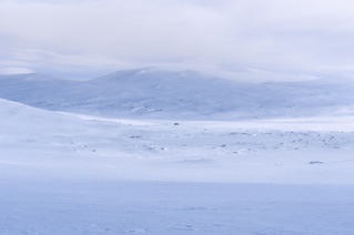 Vinterfjell 3