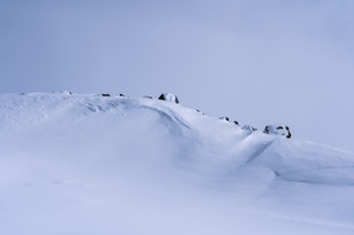 Vinterfjell 11