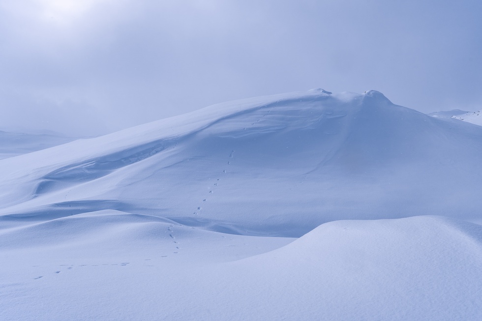 Vinterfjell 12