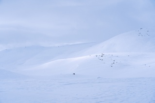 Vinterfjell 22