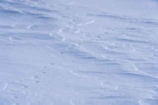 Vinterfjell 23