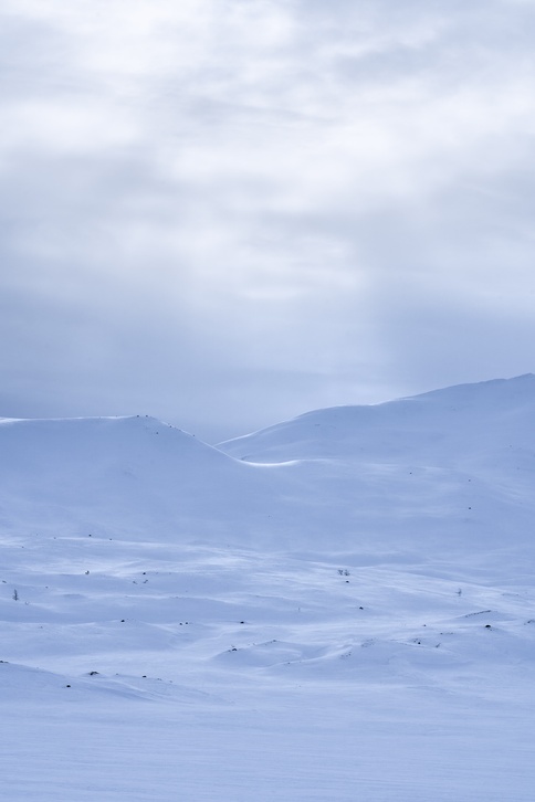 Vinterfjell 25