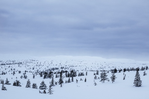Blefjell 1