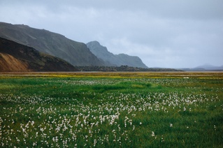 Iceland 25