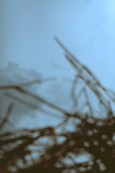 Summertime sadness IV