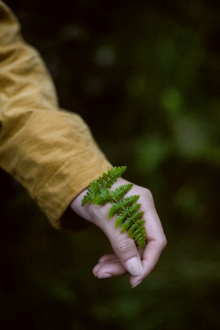 All things green
