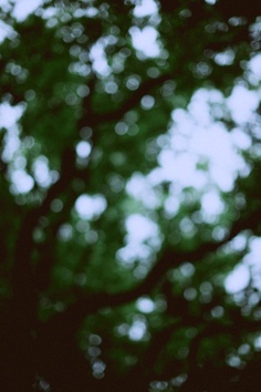 All things green