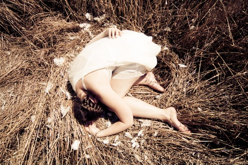 In a bird's nest II