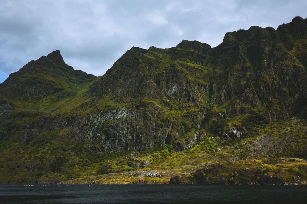 Lofoten 2