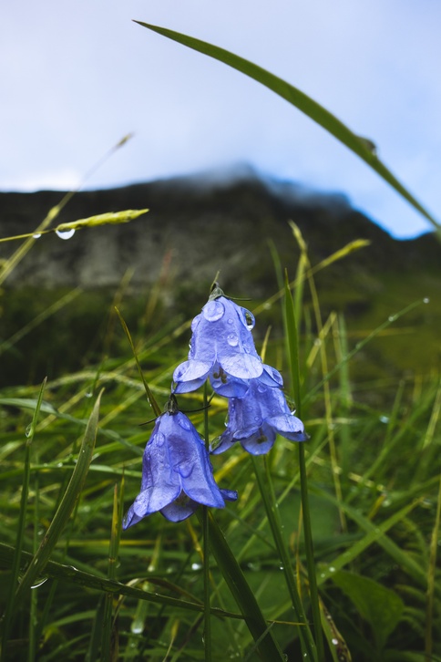 Lofoten 9