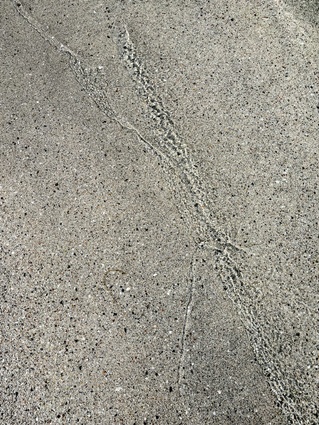 Helgelandskysten 1