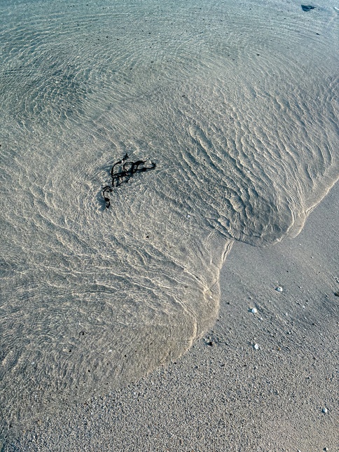 Helgelandskysten 1